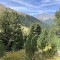 img_1981.jpeg