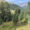 img_1982.jpeg