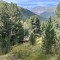 img_1983.jpeg