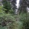 image048.jpg