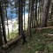 wf_poschiavo_i_cole-11.jpg