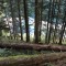 wf_poschiavo_i_cole-9.jpg