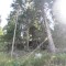 wf_ramosch_tramblai-13a.jpg