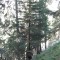 wf_ramosch_tramblai-18.jpg