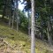 wf_poschiavo_suaser-14.jpg