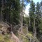 wf_poschiavo_suaser-15.jpg