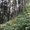 wf_poschiavo_suaser-3.jpg