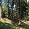 wf_poschiavo_suaser-8.jpg