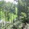 20080826_cholhuttliwald_f4_006.jpg
