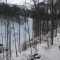 20081128_cholhuttliwald_f4_005.jpg