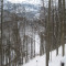 20081128_cholhuttliwald_f8_017.jpg