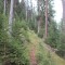 img_0938.jpg