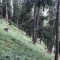 fotodoku_wf_bf_chanfuorns_auswahl-20.jpg