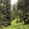 wf_ladir_con-da-cauras_fs-1.1_2022.jpg