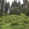 wf_ladir_con-da-cauras_fs-2.2_2022.jpg