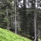 wf_ladir_con-da-cauras_fs-4.1_2022.jpg