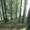foto-4-1780289321.jpg