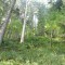 foto-8-1780289399.jpg
