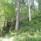 foto-9-1780289410.jpg