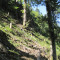 dorfbach_31.8.2011_08.jpg