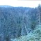 wf_obersaxen_wurzenriedwald_fs-8_2020.jpg
