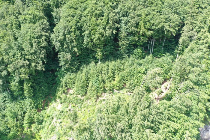 dji_0173.jpg