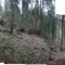 panoramabild-flache-3_nov_08.jpg