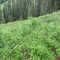 wf_grotzawald_23_2.jpg