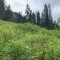 wf_grotzawald_23_8.jpg