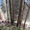 wf_malojapass_13.jpg