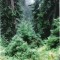 wf_ladir_las-vals_fs-1.2_2000.png