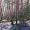 dsc_5356.jpg