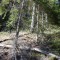dsc_5358.jpg