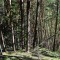 dsc_5381.jpg