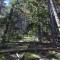 dsc_5382.jpg