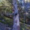dsc_5390.jpg