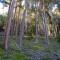 dsc_5404.jpg