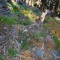 dsc_5405.jpg