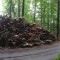 20120626_guberwald_f04_be_16.jpg
