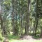 wf_poschiavo_torn-01.jpg