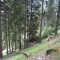 wf_poschiavo_torn-02.jpg