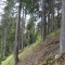 wf_poschiavo_torn-03.jpg