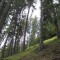 wf_poschiavo_torn-04.jpg