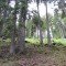 wf_poschiavo_torn-05.jpg