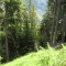 wf_poschiavo_torn-12.jpg
