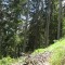 wf_poschiavo_torn-13.jpg