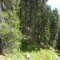 4c.jpg