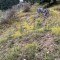img_9147.jpeg