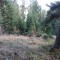 dsc01783.jpg