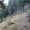 dsc01784.jpg